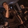 Click to enlarge GutterPunk - Professional Concert Photography